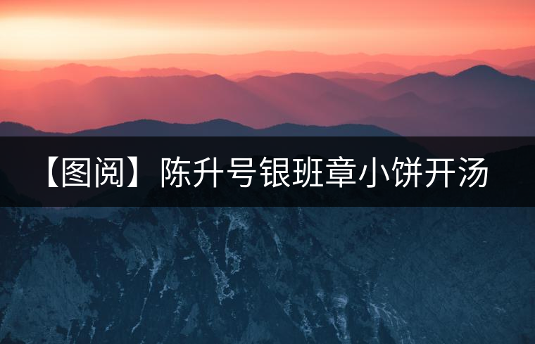 【圖閱】陳升號(hào)銀班章小餅開湯品鑒