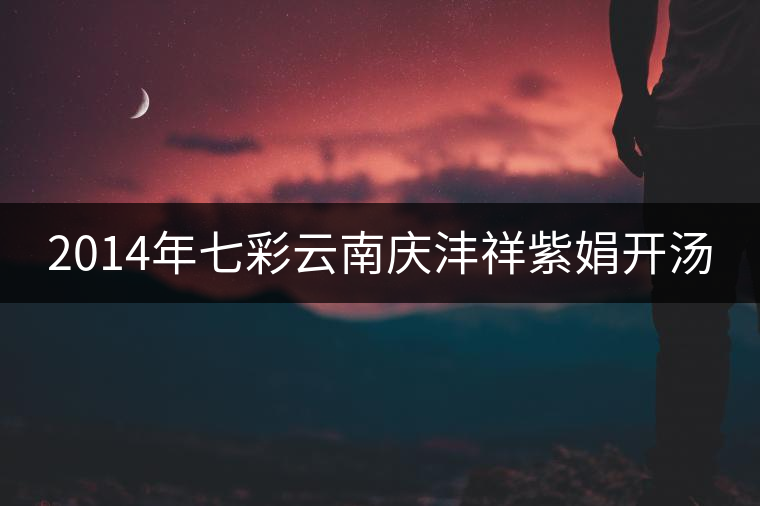 2014年七彩云南慶灃祥紫娟開湯