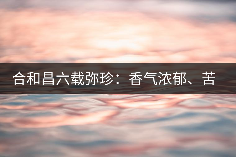 合和昌六載彌珍：香氣濃郁、苦澀均衡