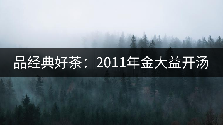 品經(jīng)典好茶：2011年金大益開湯