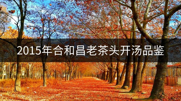 2015年合和昌老茶頭開(kāi)湯品鑒