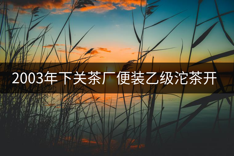 2003年下關(guān)茶廠便裝乙級(jí)沱茶開湯品鑒 2003年下關(guān)茶廠便裝乙級(jí)沱茶開湯品鑒