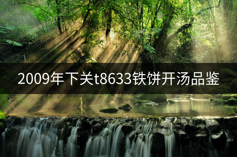 2009年下關(guān)t8633鐵餅開湯品鑒