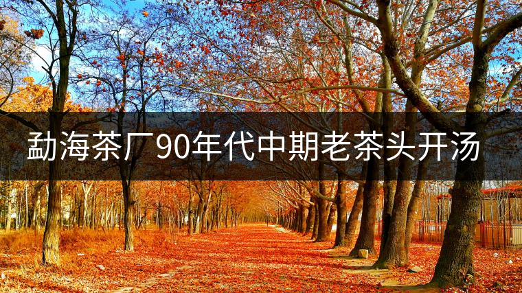 勐海茶廠90年代中期老茶頭開(kāi)湯品鑒 勐海茶廠90年代中期老茶頭開(kāi)湯品鑒
