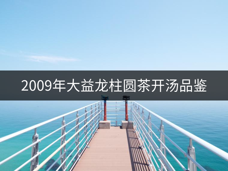 2009年大益龍柱圓茶開湯品鑒 2009年大益龍柱圓茶開湯品鑒