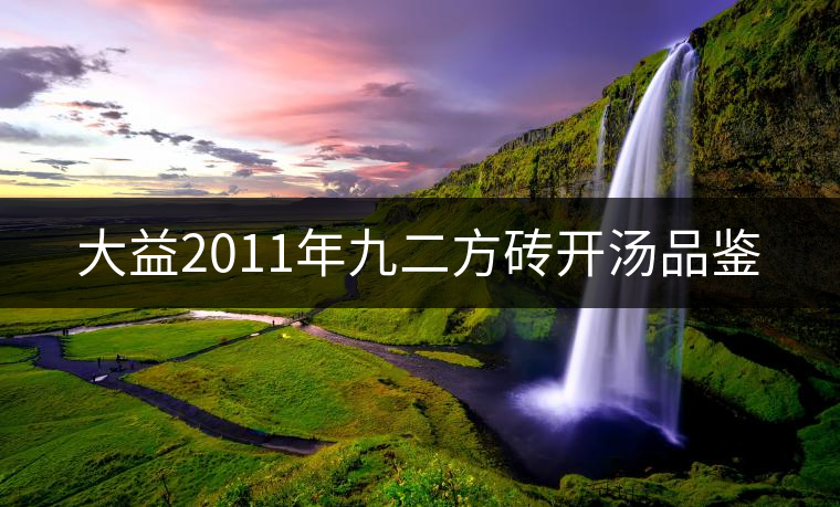 大益2011年九二方磚開(kāi)湯品鑒 大益2011年九二方磚開(kāi)湯品鑒