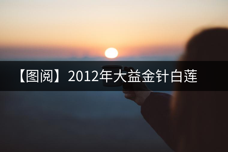 【圖閱】2012年大益金針白蓮熟茶開湯 【圖閱】2012年大益金針白蓮熟茶開湯