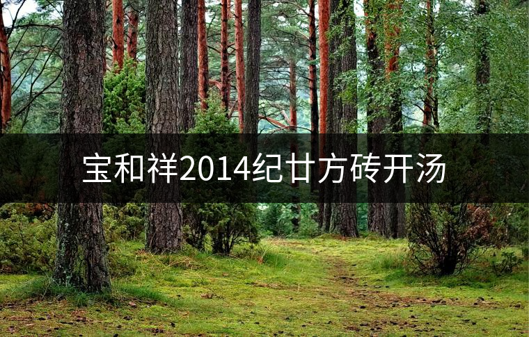 寶和祥2014紀廿方磚開湯 寶和祥2014紀廿方磚開湯