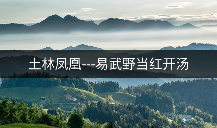 土林鳳凰---易武野當(dāng)紅開(kāi)湯