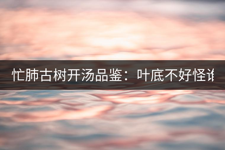 忙肺古樹(shù)開(kāi)湯品鑒：葉底不好怪誰(shuí)？