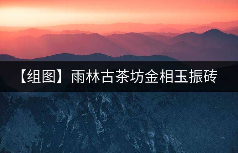 【組圖】雨林古茶坊金相玉振磚茶開湯 【組圖】雨林古茶坊金相玉振磚茶開湯