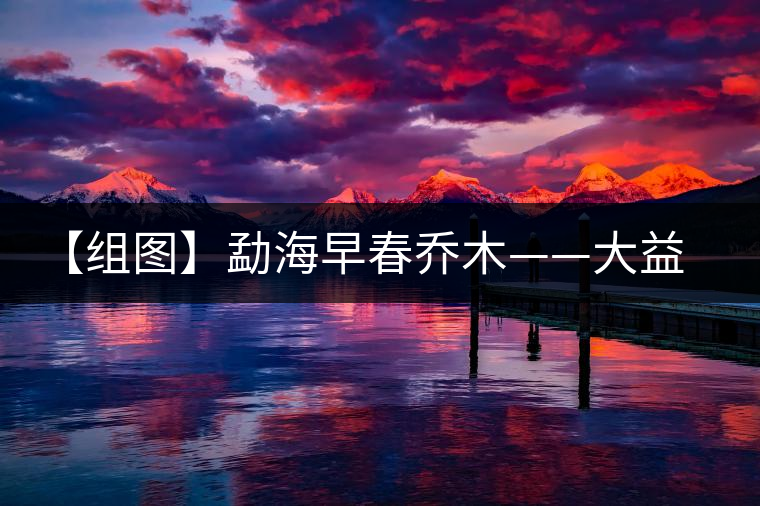 【組圖】勐海早春?jiǎn)棠尽笠尕曪為_湯