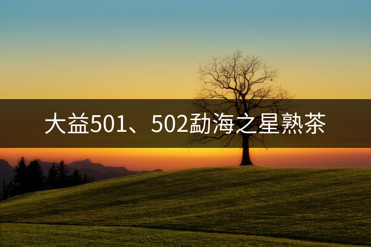 大益501、502勐海之星熟茶