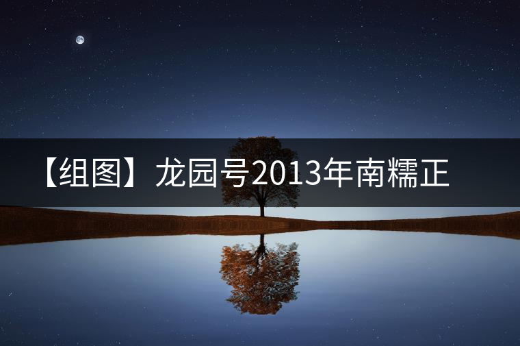 【組圖】龍園號(hào)2013年南糯正山小餅開(kāi)湯