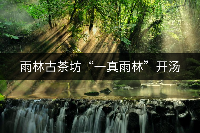 雨林古茶坊“一真雨林”開湯 雨林古茶坊“一真雨林”開湯