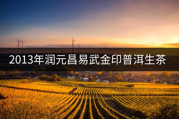 2013年潤(rùn)元昌易武金印普洱生茶開湯 2013年潤(rùn)元昌易武金印普洱生茶開湯