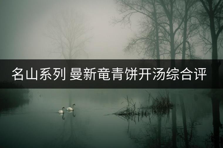 名山系列 曼新竜青餅開湯綜合評測 名山系列 曼新竜青餅開湯綜合評測