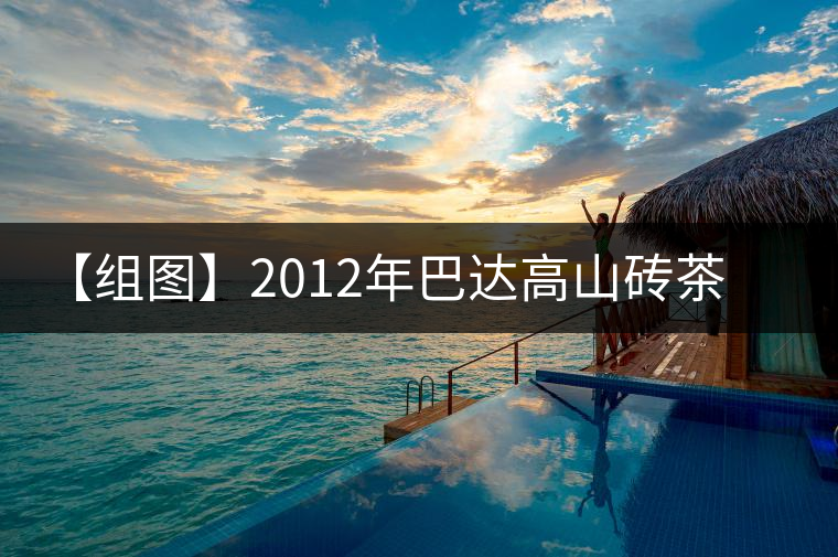 【組圖】2012年巴達(dá)高山磚茶開(kāi)湯 【組圖】2012年巴達(dá)高山磚茶開(kāi)湯