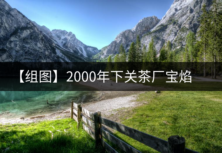 【組圖】2000年下關(guān)茶廠寶焰沱（蘑菇沱）開湯