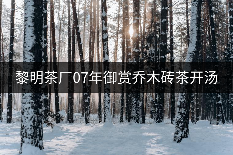 黎明茶廠07年御賞喬木磚茶開湯