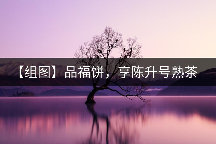 【組圖】品福餅，享陳升號熟茶滋味