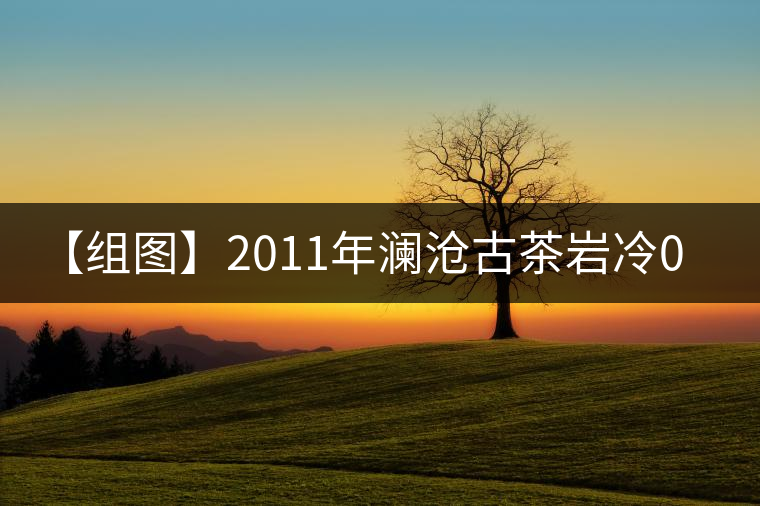 【組圖】2011年瀾滄古茶巖冷0085磚茶開湯