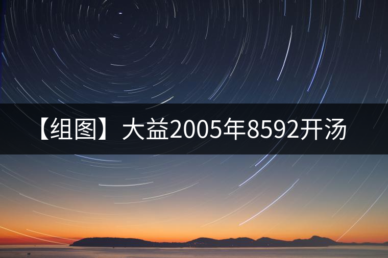 【組圖】大益2005年8592開湯