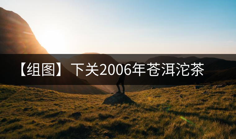 【組圖】下關2006年蒼洱沱茶開湯 【組圖】下關2006年蒼洱沱茶開湯