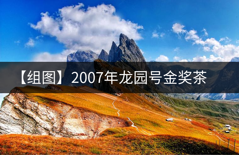 【組圖】2007年龍園號(hào)金獎(jiǎng)茶磚開湯 【組圖】2007年龍園號(hào)金獎(jiǎng)茶磚開湯