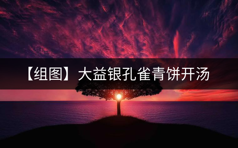 【組圖】大益銀孔雀青餅開湯