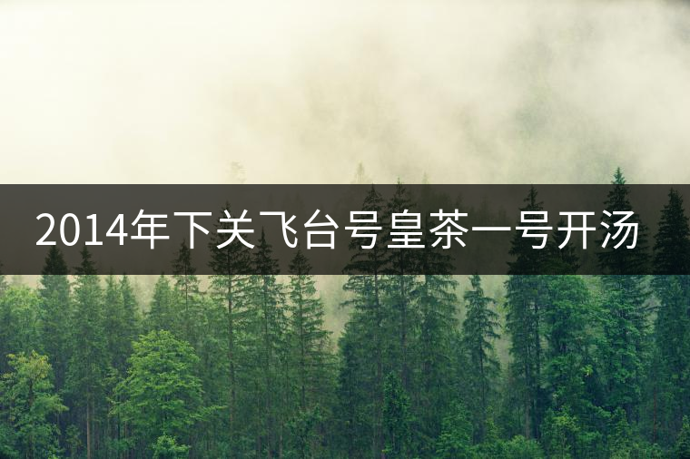 2014年下關(guān)飛臺(tái)號(hào)皇茶一號(hào)開(kāi)湯品鑒