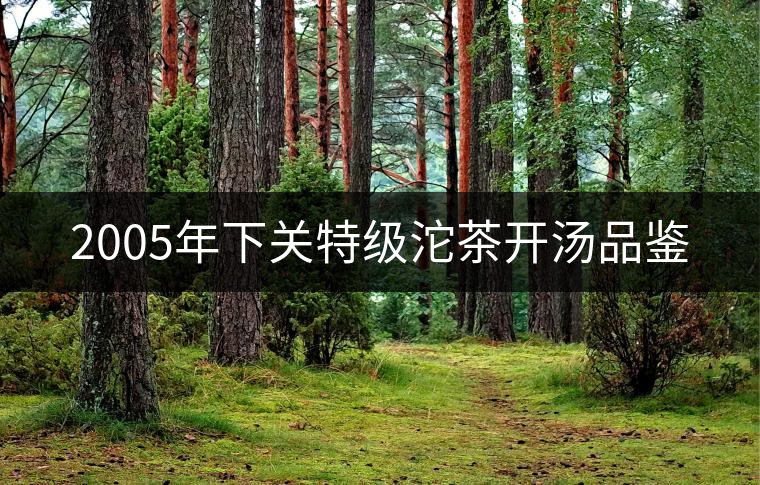 2005年下關(guān)特級沱茶開湯品鑒 2005年下關(guān)特級沱茶開湯品鑒