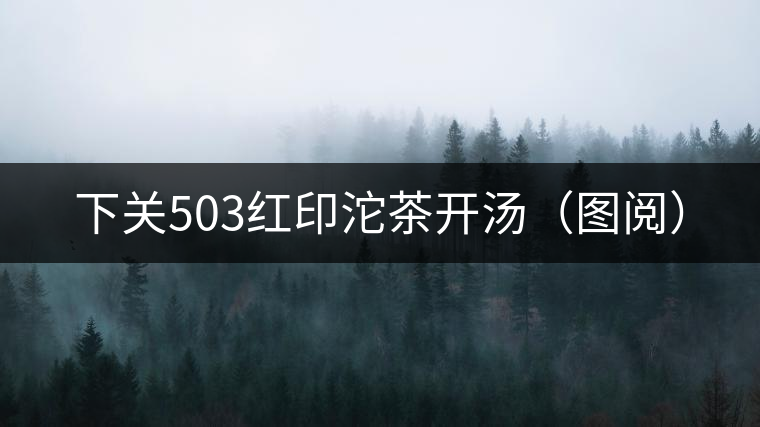 下關503紅印沱茶開湯(圖閱) 下關503紅印沱茶開湯(圖閱)