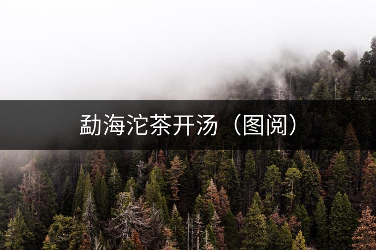 勐海沱茶開(kāi)湯（圖閱）