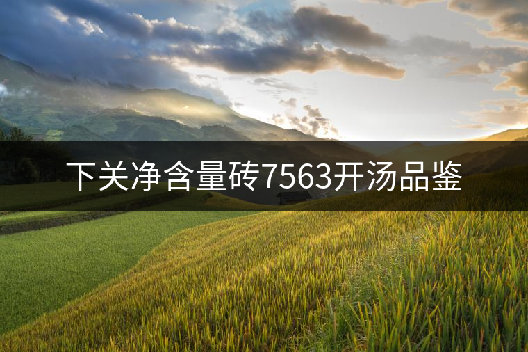 下關(guān)凈含量磚7563開湯品鑒 下關(guān)凈含量磚7563開湯品鑒