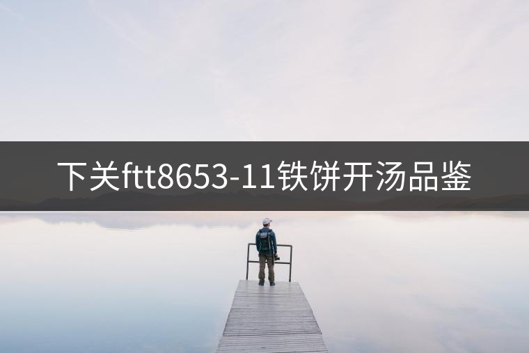 下關(guān)ftt8653-11鐵餅開湯品鑒