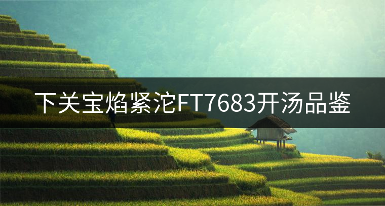 下關寶焰緊沱FT7683開湯品鑒