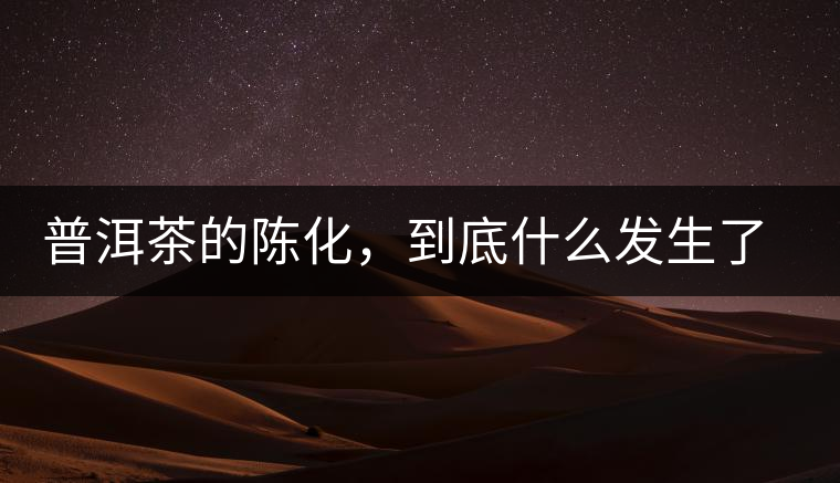 普洱茶的陳化，到底什么發(fā)生了哪些變化？