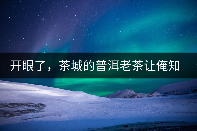 開眼了，茶城的普洱老茶讓俺知道了老茶樹