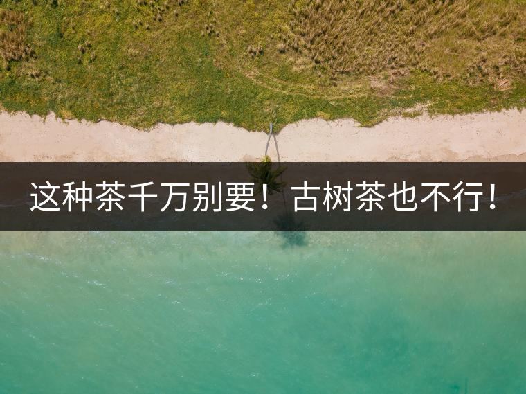 這種茶千萬別要！古樹茶也不行！