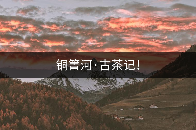 銅箐河·古茶記！