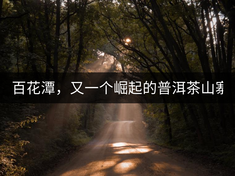 百花潭，又一個(gè)崛起的普洱茶山寨！