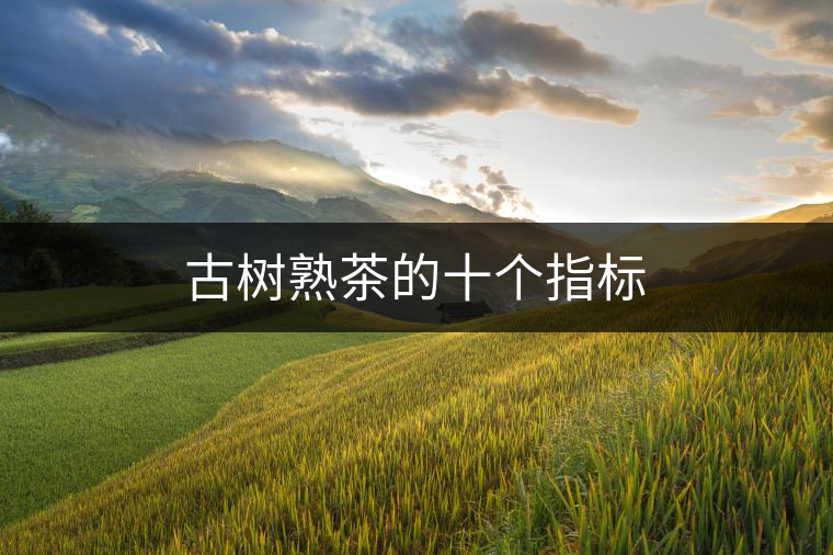 古樹熟茶的十個指標