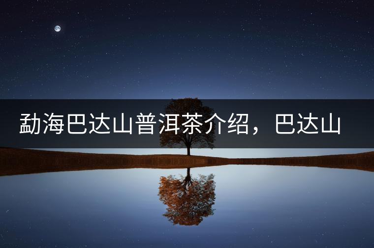 勐海巴達(dá)山普洱茶介紹，巴達(dá)山古樹茶口感特點(diǎn)