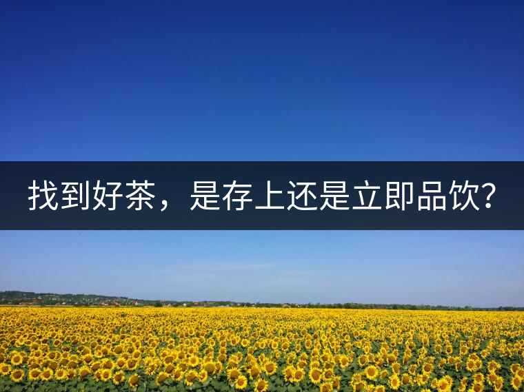 找到好茶，是存上還是立即品飲？