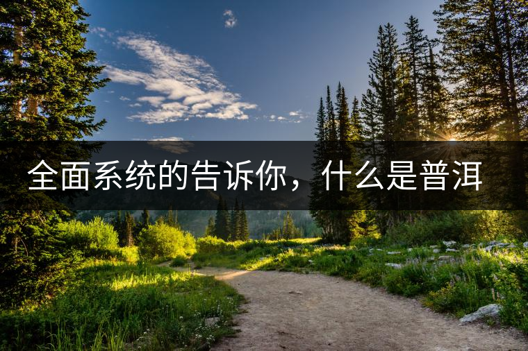 全面系統(tǒng)的告訴你，什么是普洱茶