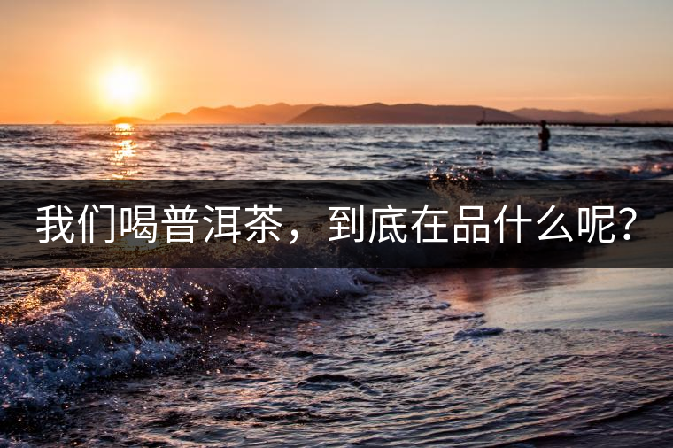 我們喝普洱茶，到底在品什么呢？