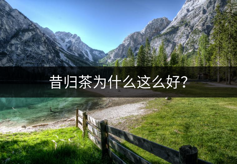 昔歸茶為什么這么好？