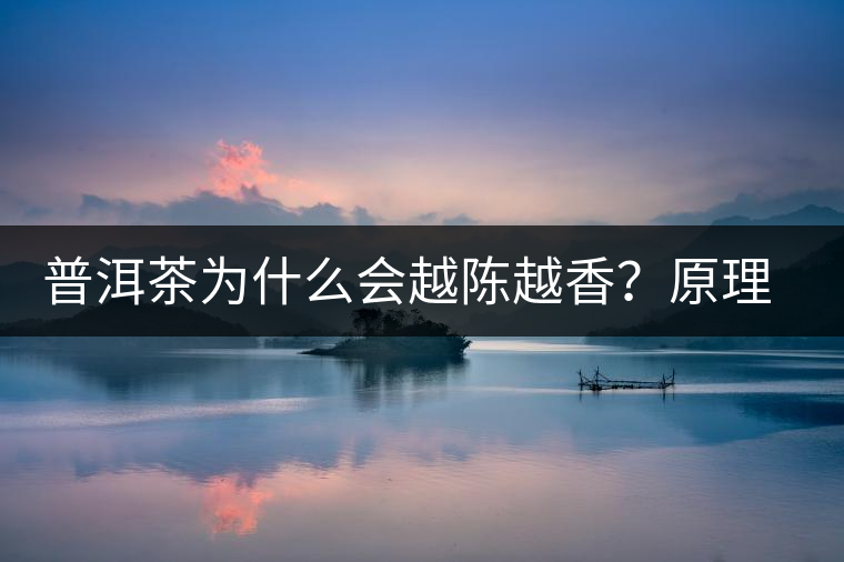 普洱茶為什么會越陳越香？原理是什么？