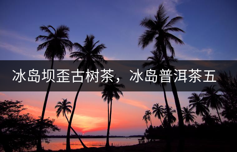 冰島壩歪古樹茶，冰島普洱茶五寨之一